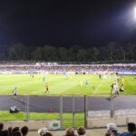 Арда и Ботев Враца се изпотиха, но минаха с по 2:1