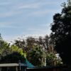 Олимпиакос взе Марсилия с гол на Есе